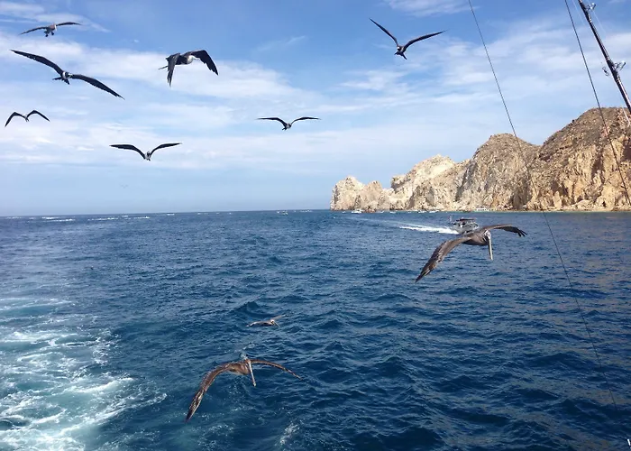 Hyatt Place Cabos 3*